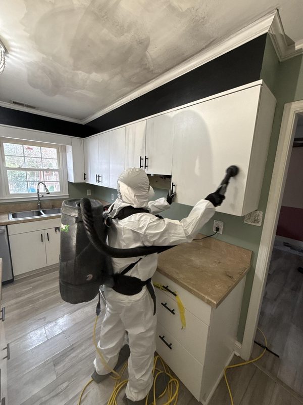 Mold Remediation in Salt Lake City, UT