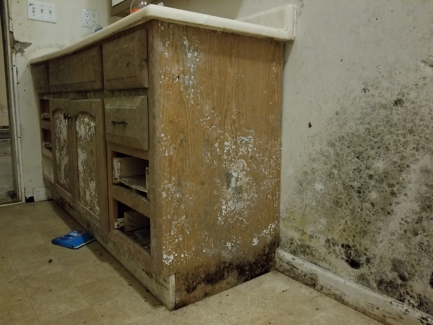 Extensive mold growth on kitchen cabinet and wall in a Salt Lake City home